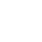 Icon (2)