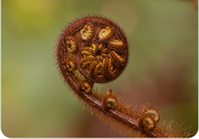 Wraparound support